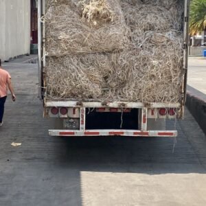Pita, lazo de PP